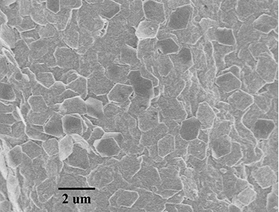 进口氧化铝纳米片Alumina Nanoplates A100