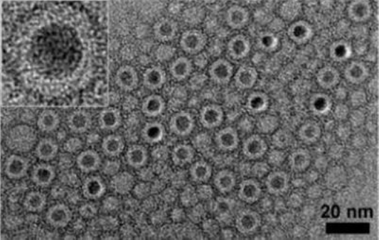 锰锌铁氧体纳米晶（高温热解法）PEG化磁性锰锌铁氧体纳米晶（-OCH3）PEG化磁性锰锌铁氧体纳米晶（-COOH）PEG化磁性锰锌铁氧体纳米晶（-NH2）