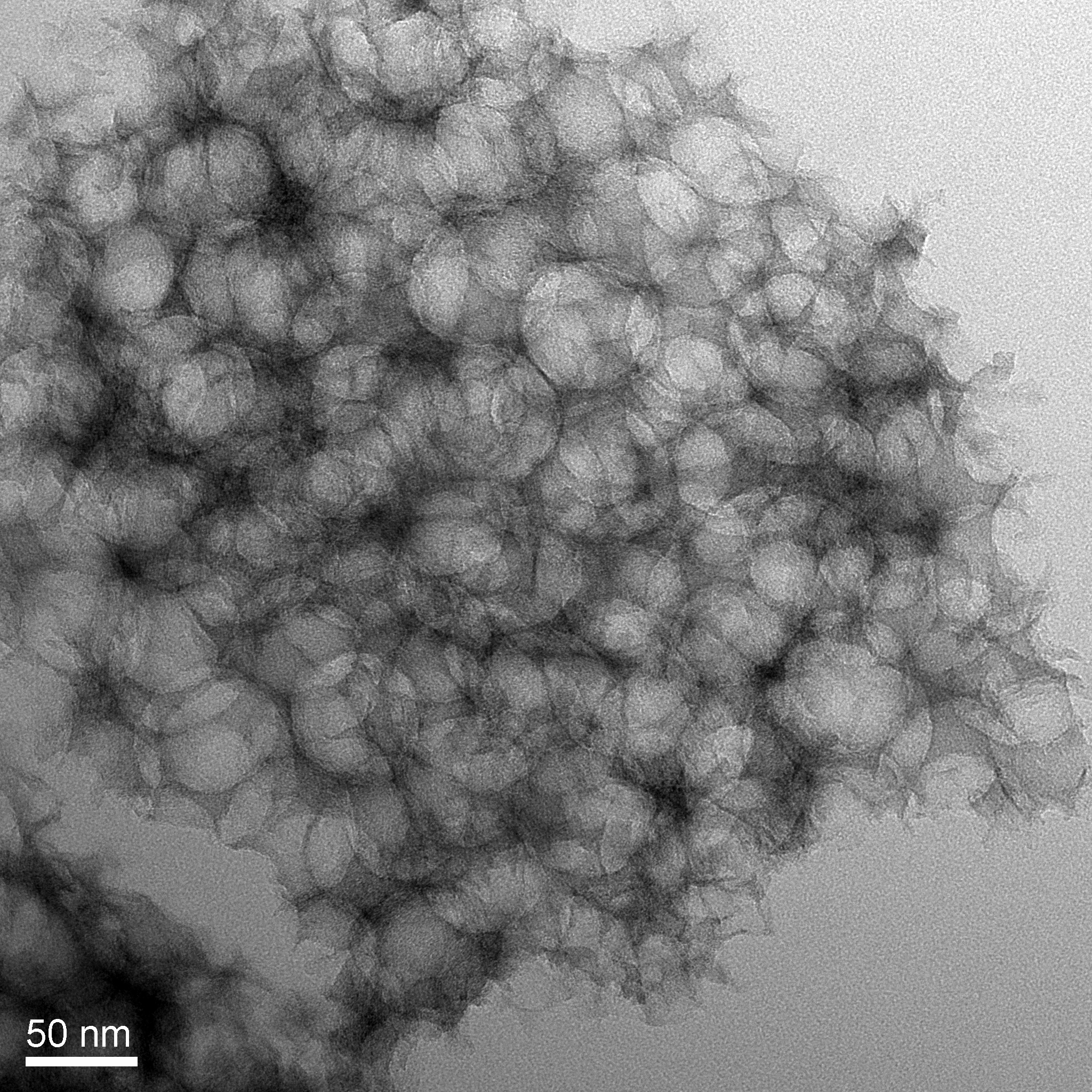 纳米多孔碳粉末(Nanoporous Carbon Powder)NCP-10,NCP-50,NCP-120,NCP-500
