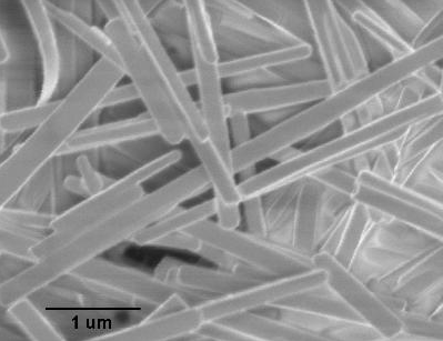 进口氧化钼纳米线Molybdenum Oxide Nanowires