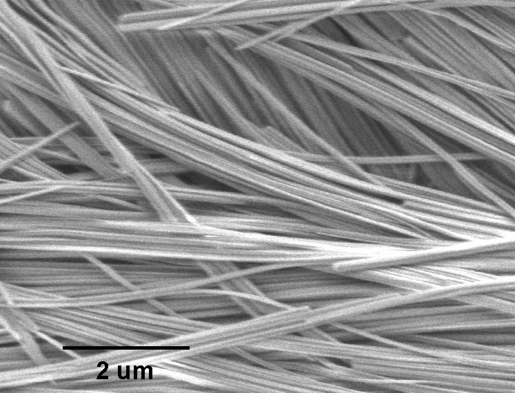 进口三钼酸钠铵纳米线Sodium Ammonium Trimolybdate (NaNH4Mo3O10) Nanowires