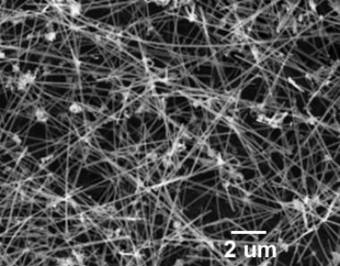 进口碳化硅纳米线NovaWire-SiC-100-RD