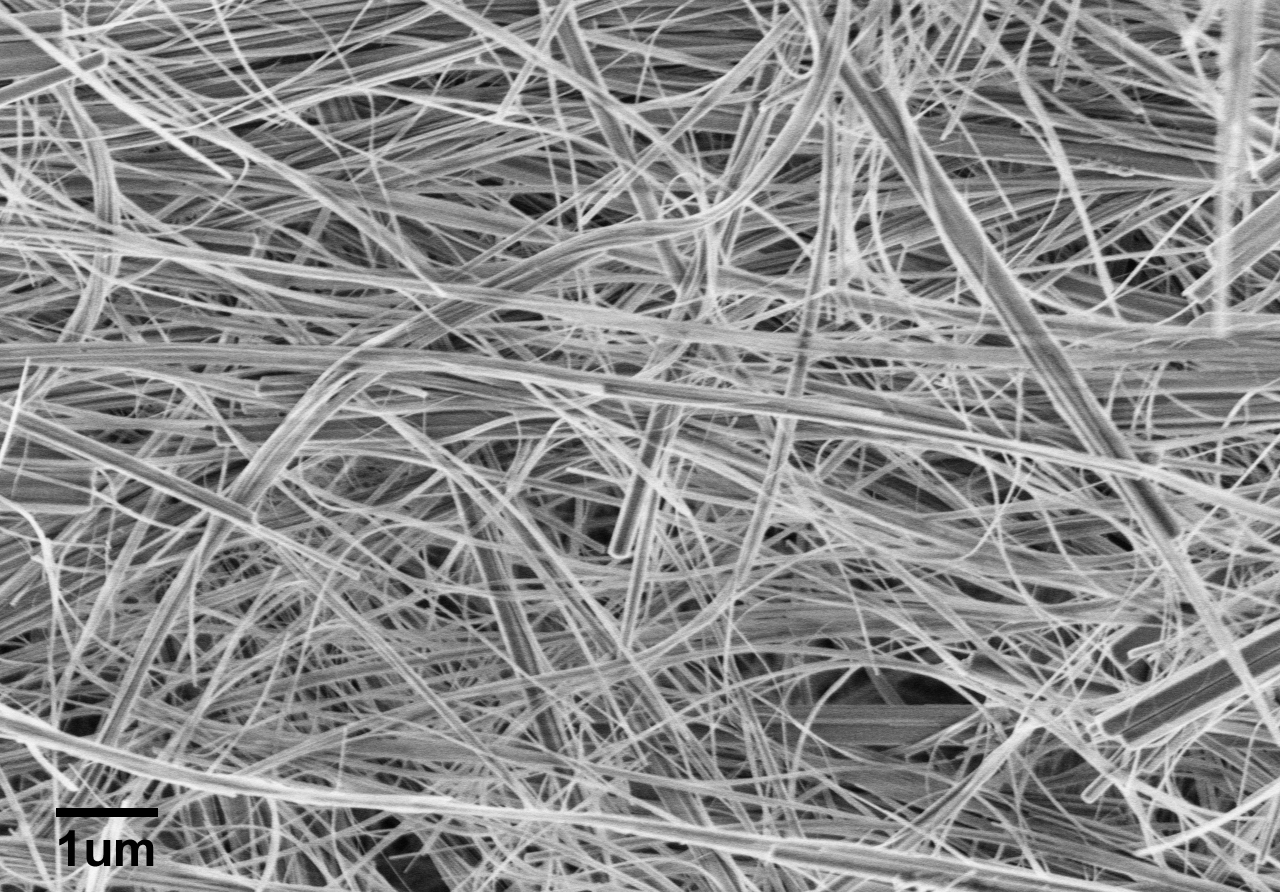 进口羟基磷灰石纳米线Hydroxylapatite Nanowires A40