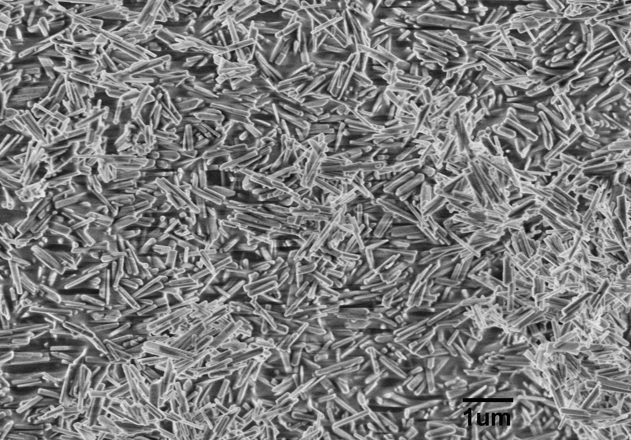 进口羟基磷灰石纳米线Hydroxylapatite Nanowires A100