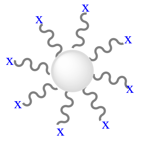 乳胶微球Latex Particles