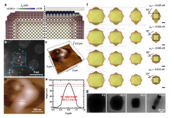 zhang课题组--利用石墨烯液体电池对双金属核-壳纳米晶的各向异性溶解